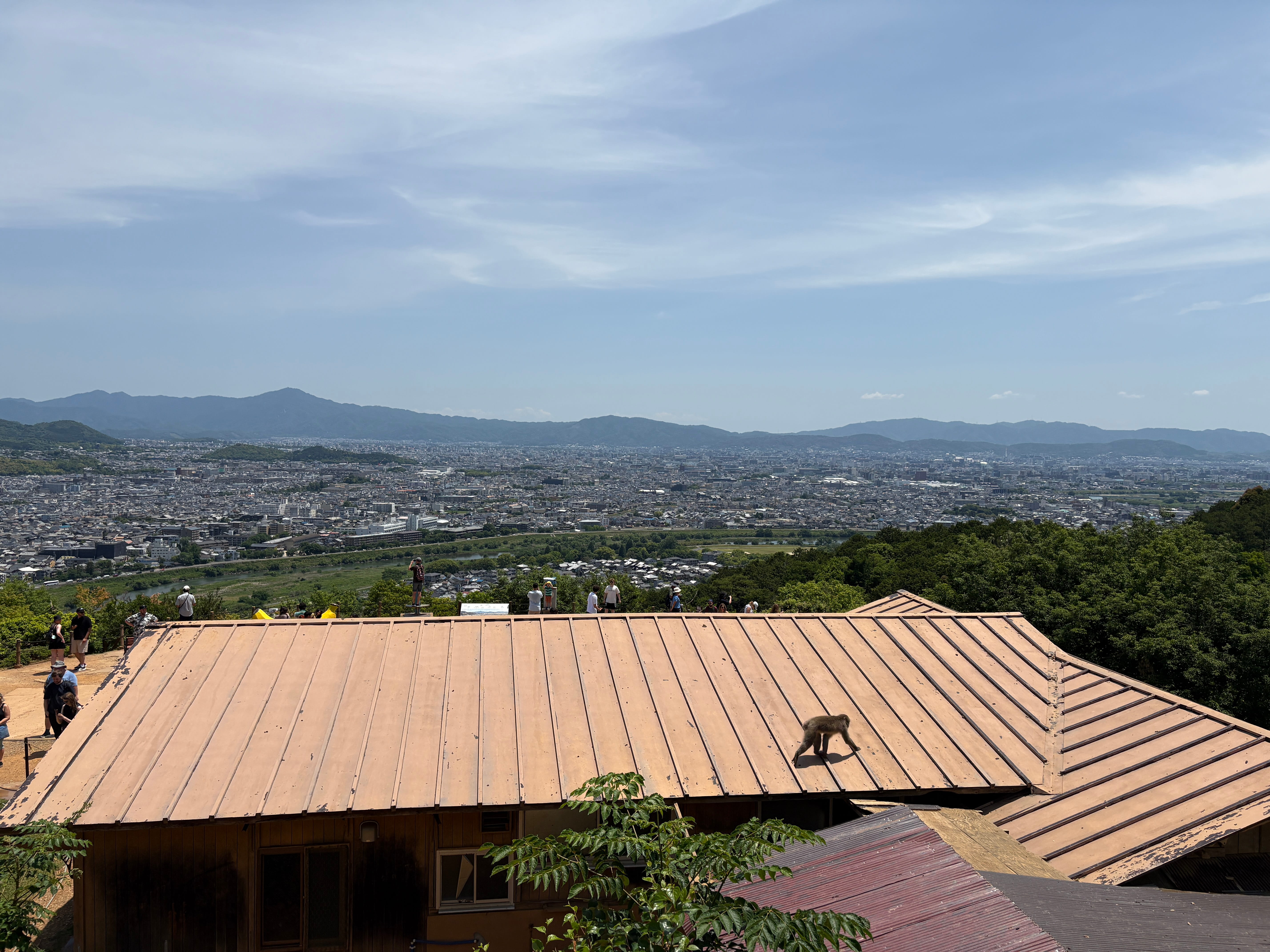 Kyoto from the Arashiyama Monkey Park